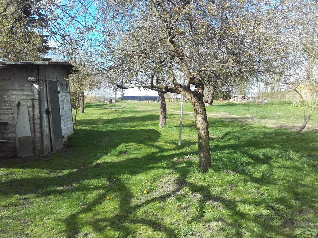 Apartment Sonne Am Sund Stralsund
